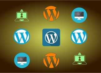 Become a Pro WordPress Custom Theme Developer